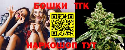 гашик Дубна