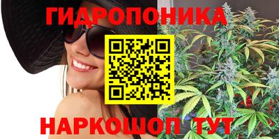 гашик Дубна