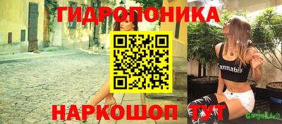гашик Дубна