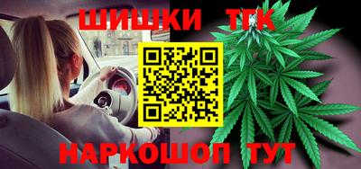 гашик Дубна