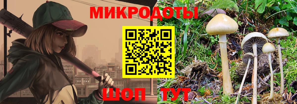 Псилоцибиновые грибы MAGIC MUSHROOMS Гусиноозёрск