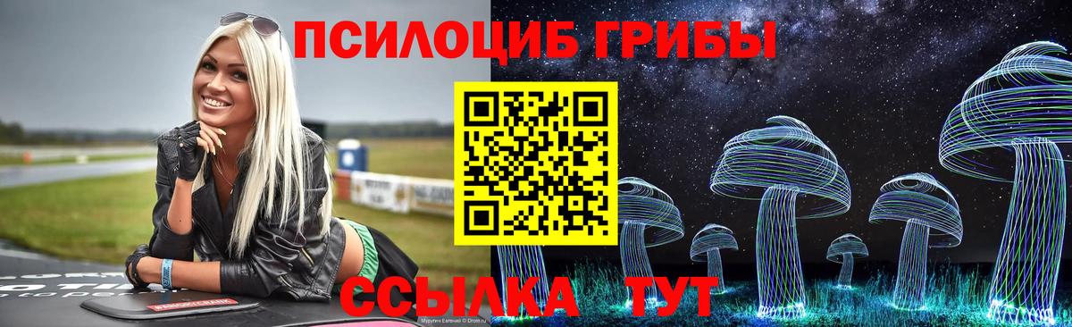 продажа наркотиков  Гусиноозёрск  Псилоцибиновые грибы Cubensis 