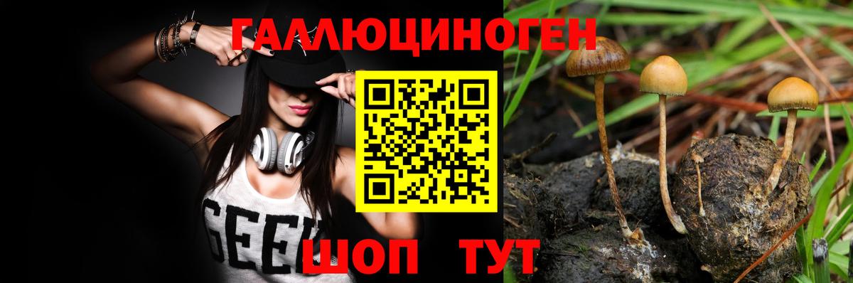 Галлюциногенные грибы мухоморы  Вход с VPN  Гусиноозёрск 